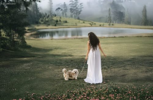 540854512 1088571016779103 1827649113995860629 n